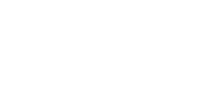 Danuta Logo Light